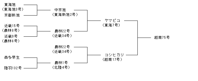 越南75号