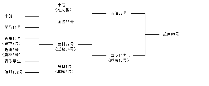 越南83号