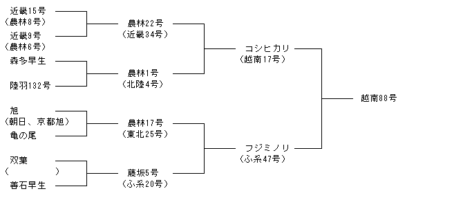 越南88号