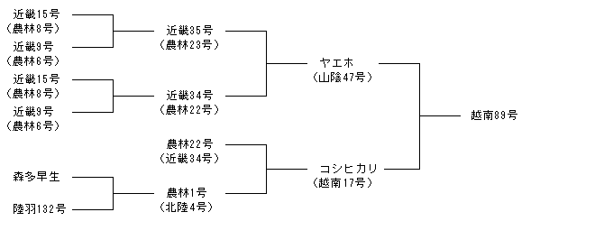 越南89号