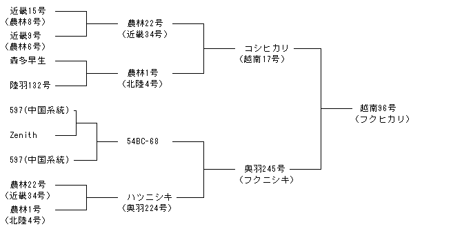 越南96号