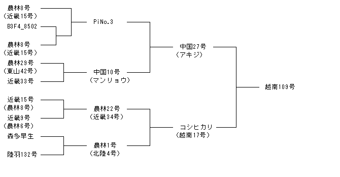 越南109号