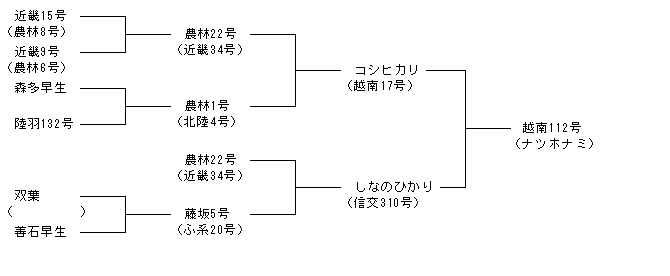 越南112号