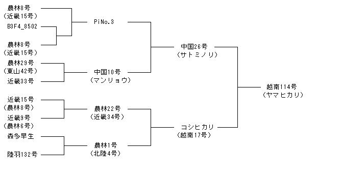 越南114号