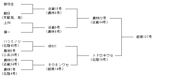 越南127号