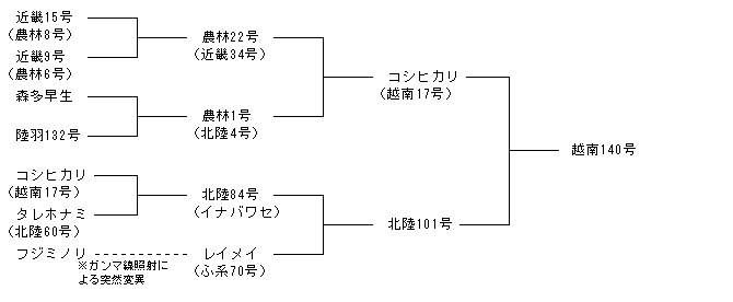 越南140号