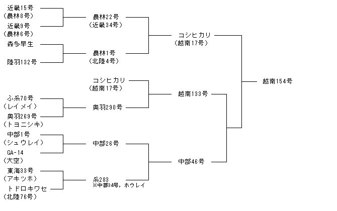 越南154号
