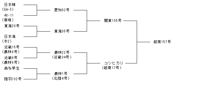 越南157号