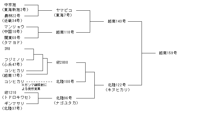 越南159号