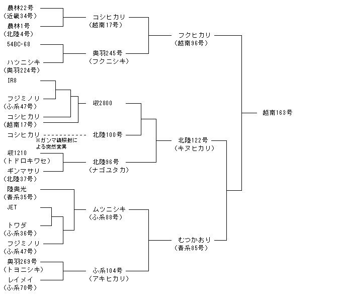 越南163号