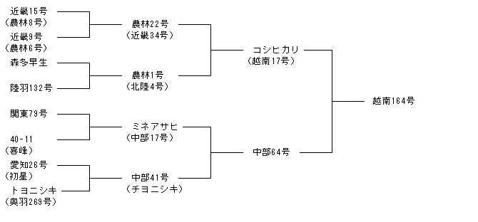 越南164号