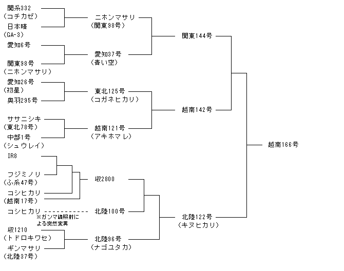 越南166号