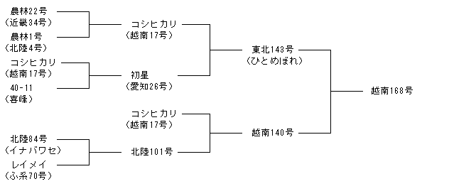 越南168号