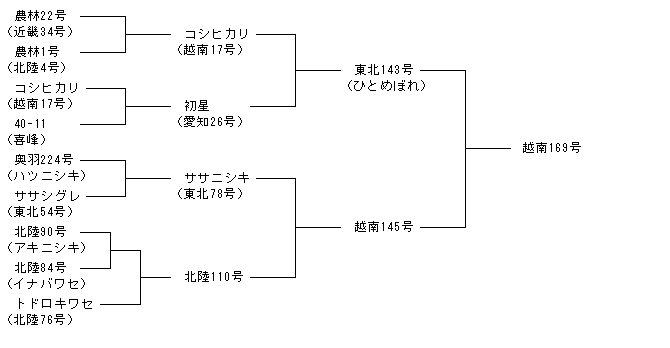 越南169号
