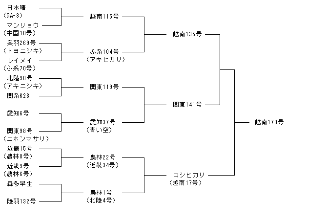越南170号
