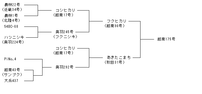 越南175号