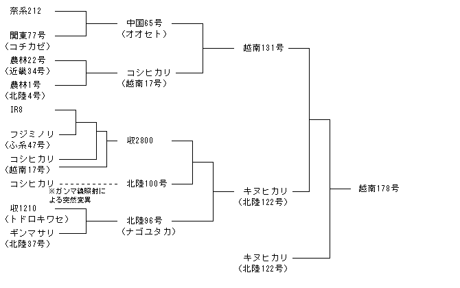 越南178号