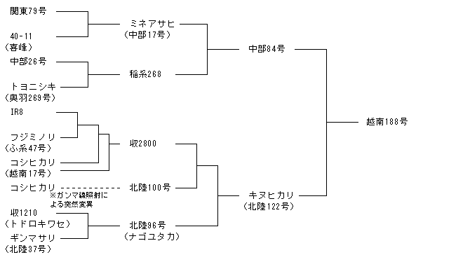 越南188号