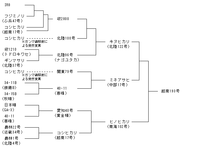 越南193号