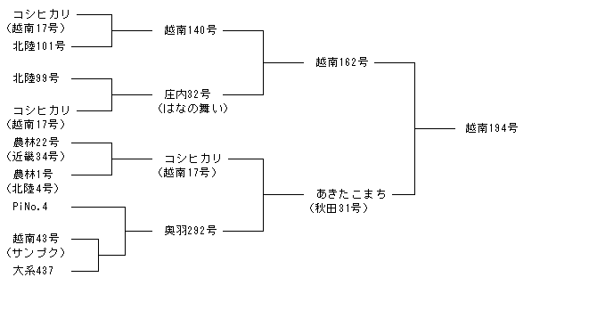 越南194号