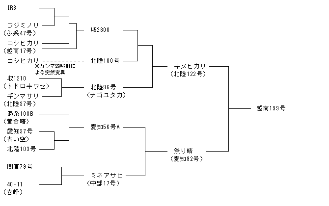 越南199号