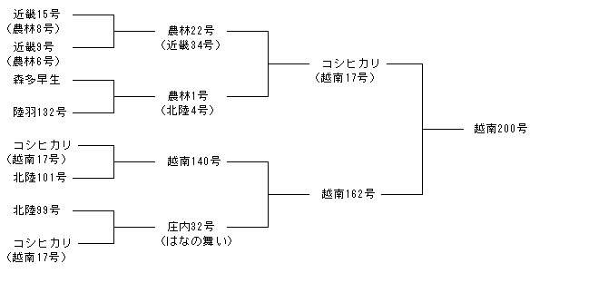 越南200号