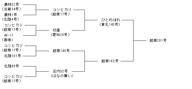 越南201号