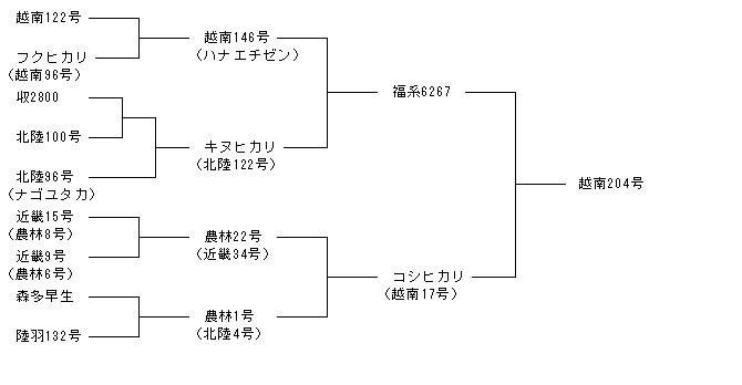 越南204号