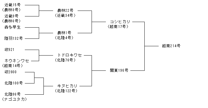 越南214号