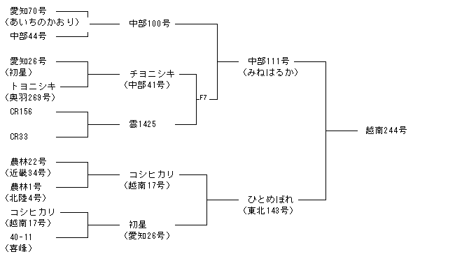 越南244号