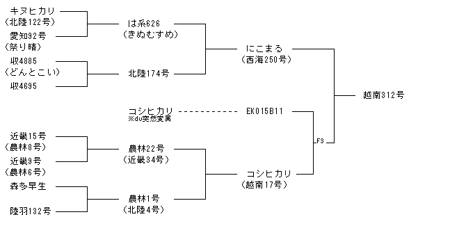 越南312号