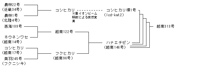 越南313号
