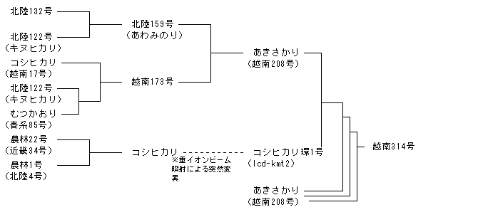 越南314号