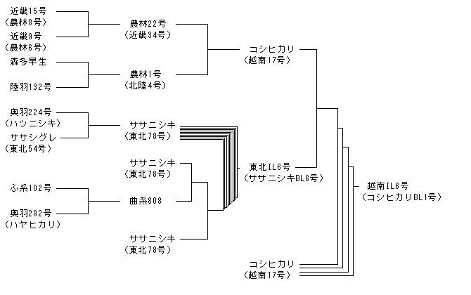 越南IL6号