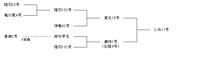ふ系11号