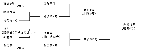 ふ系19号