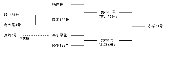 ふ系24号