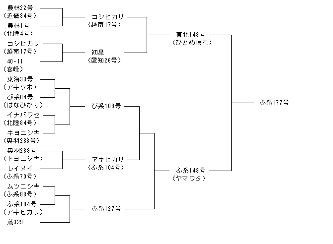 ふ系177号