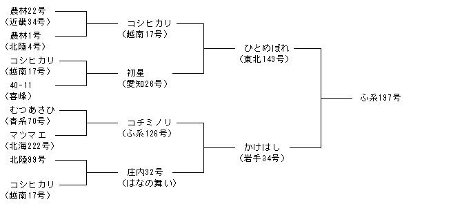ふ系197号