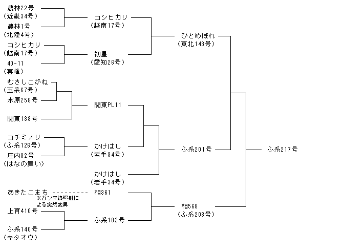 ふ系217号