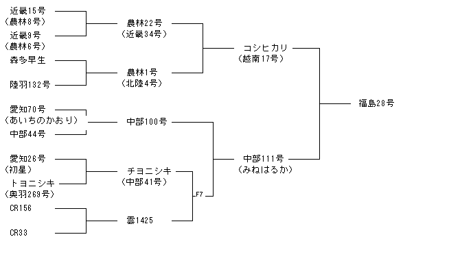 福島28号