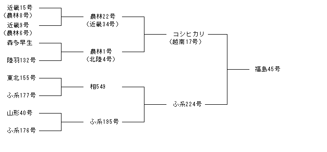 福島45号