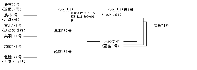 福島74号
