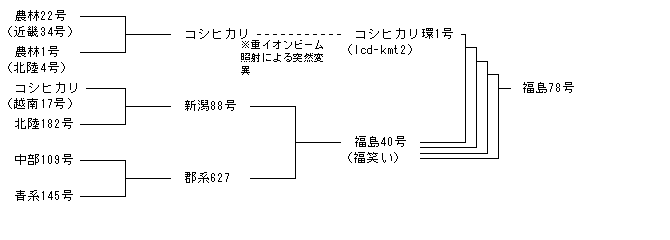 福島78号