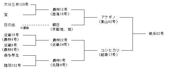岐系32号