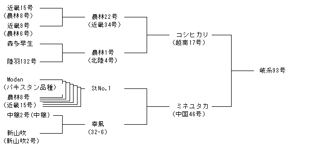 岐系93号