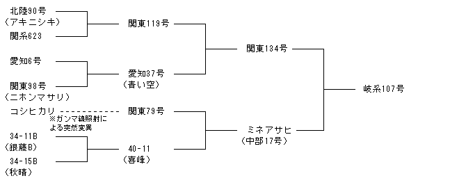 岐系107号