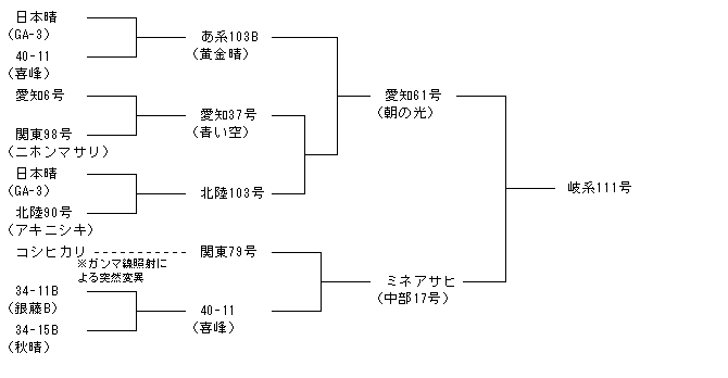 岐系111号