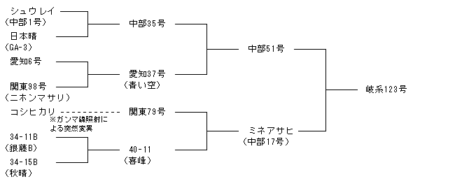 岐系123号
