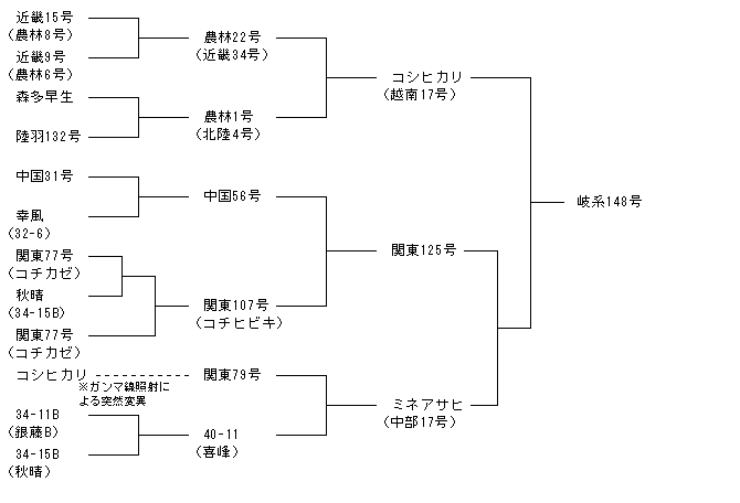 岐系148号